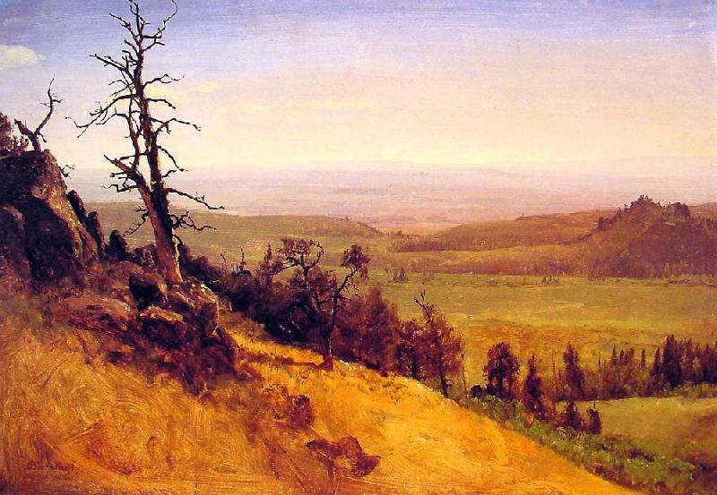 Albert Bierstadt Newbraska Wasatch Mountains oil painting image